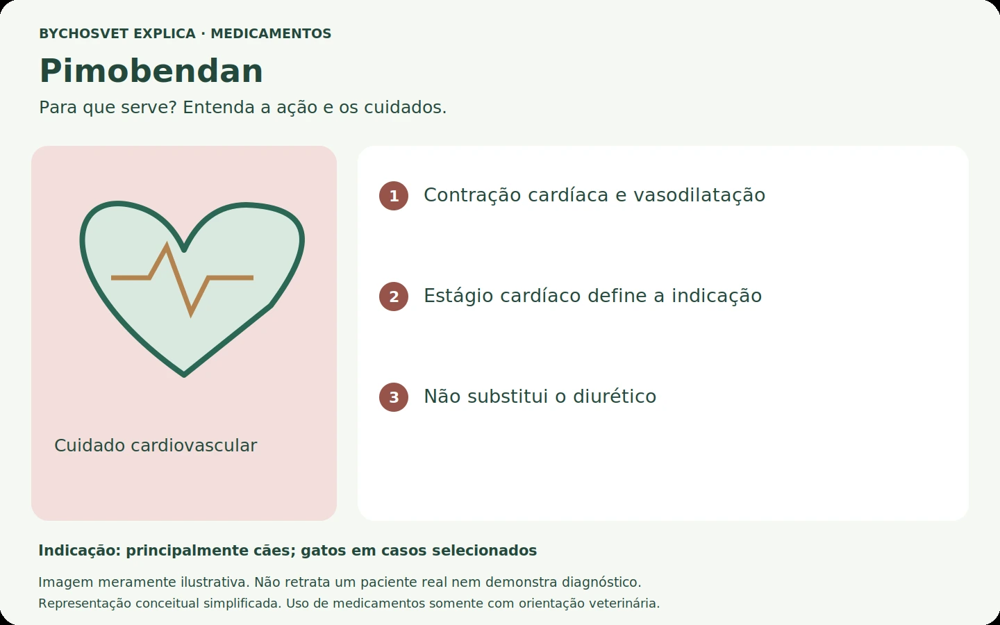 Pimobendan: esquema em português sobre ação, indicações e cuidados.
