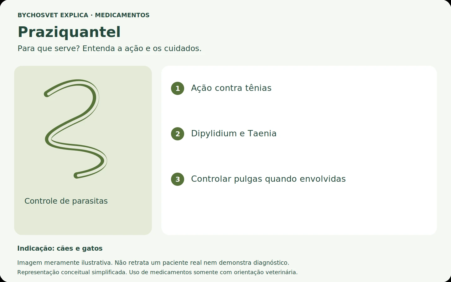 Praziquantel: esquema em português sobre ação, indicações e cuidados.