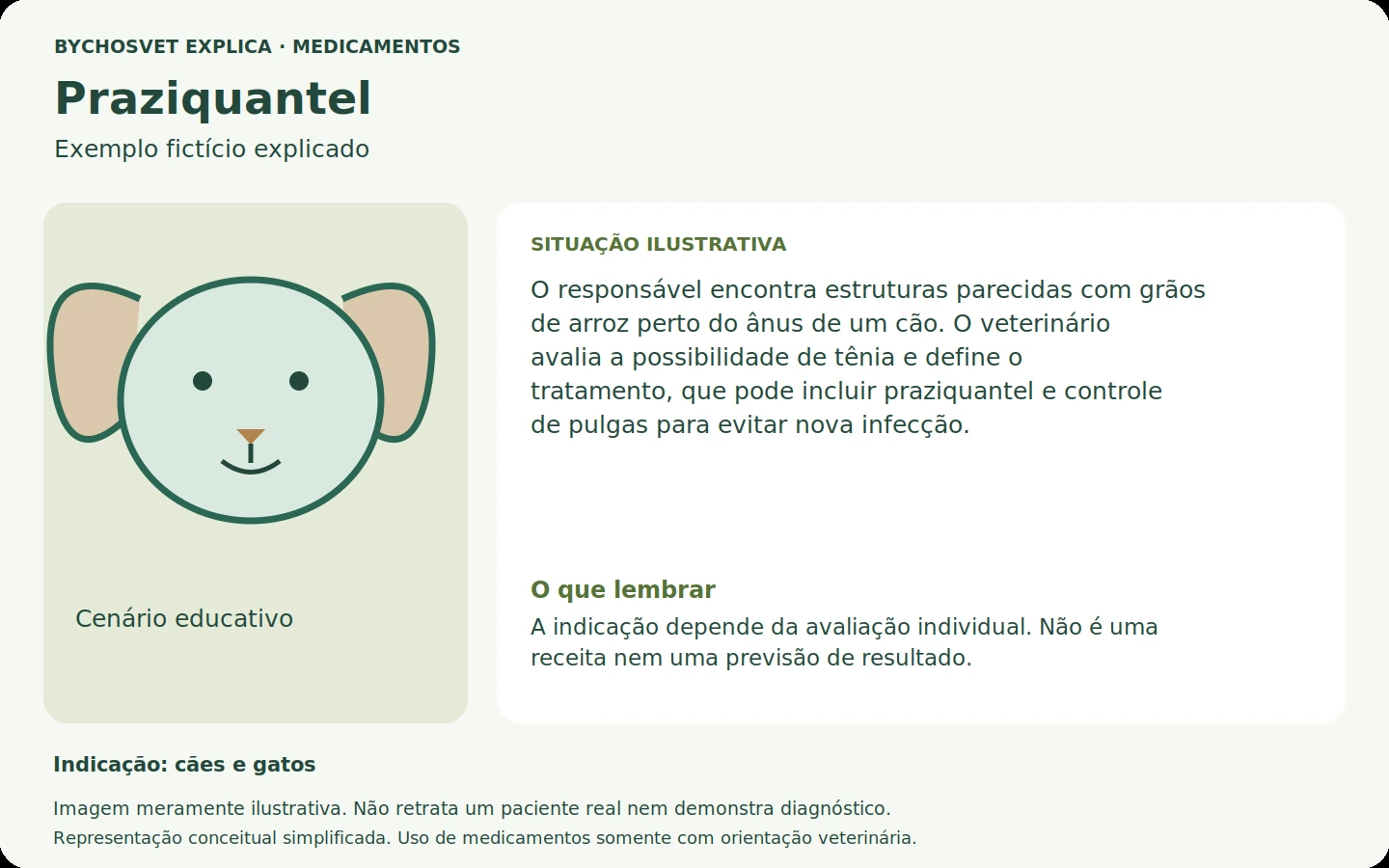Exemplo fictício em português relacionado ao uso de praziquantel.