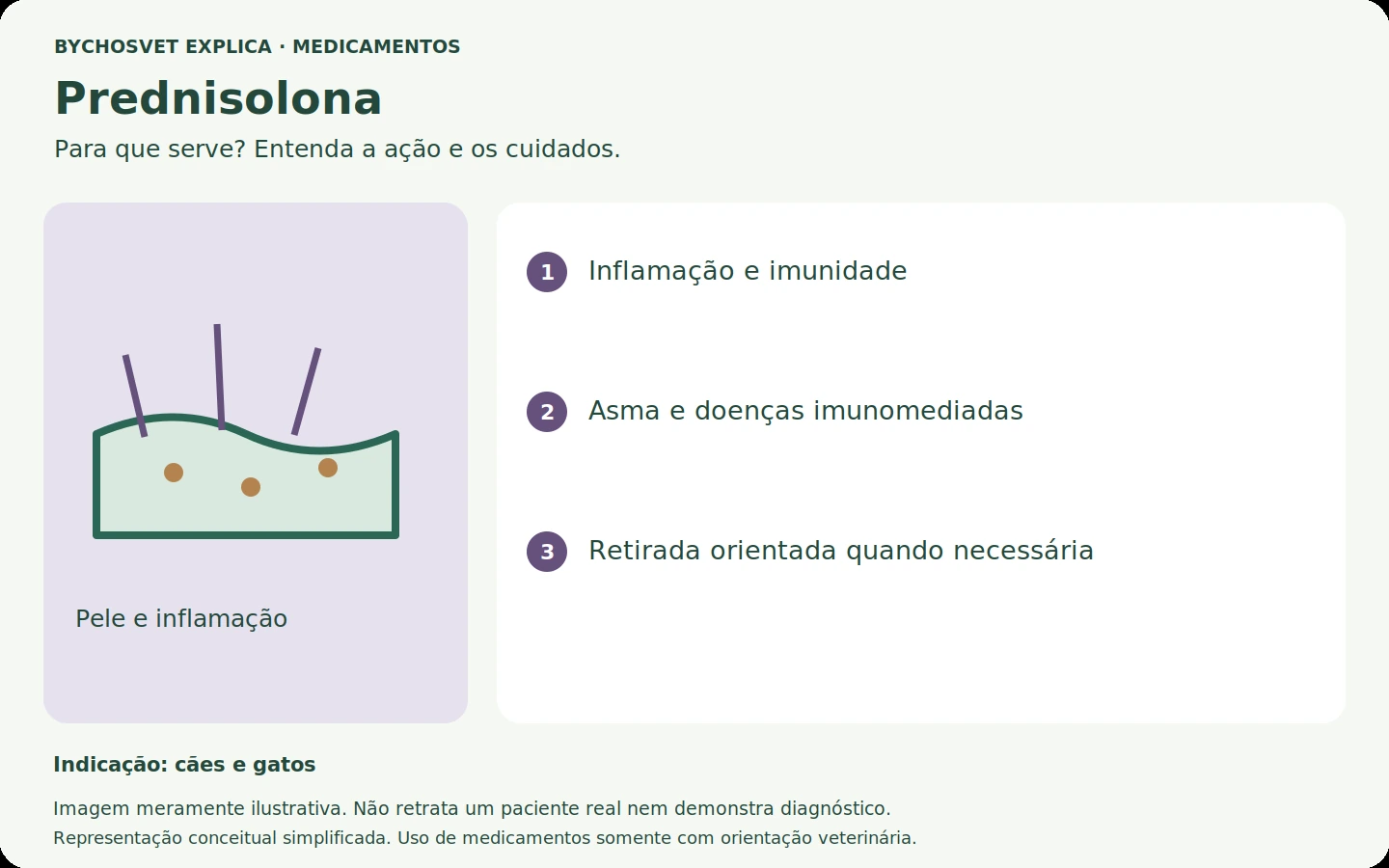 Prednisolona: esquema em português sobre ação, indicações e cuidados.