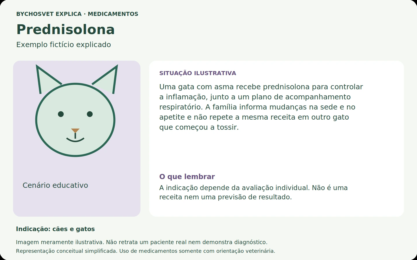 Exemplo fictício em português relacionado ao uso de prednisolona.