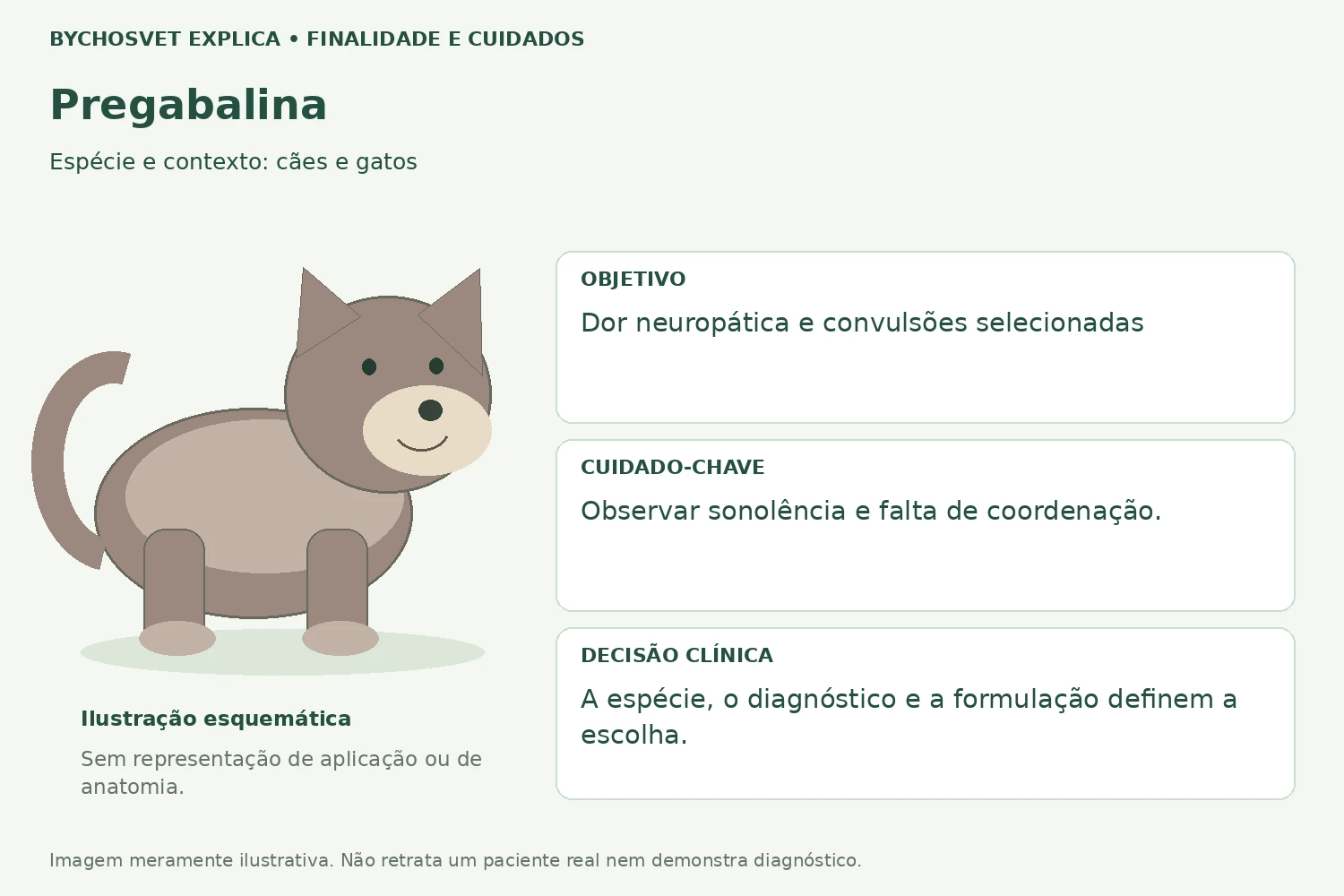 Finalidade e cuidados de Pregabalina