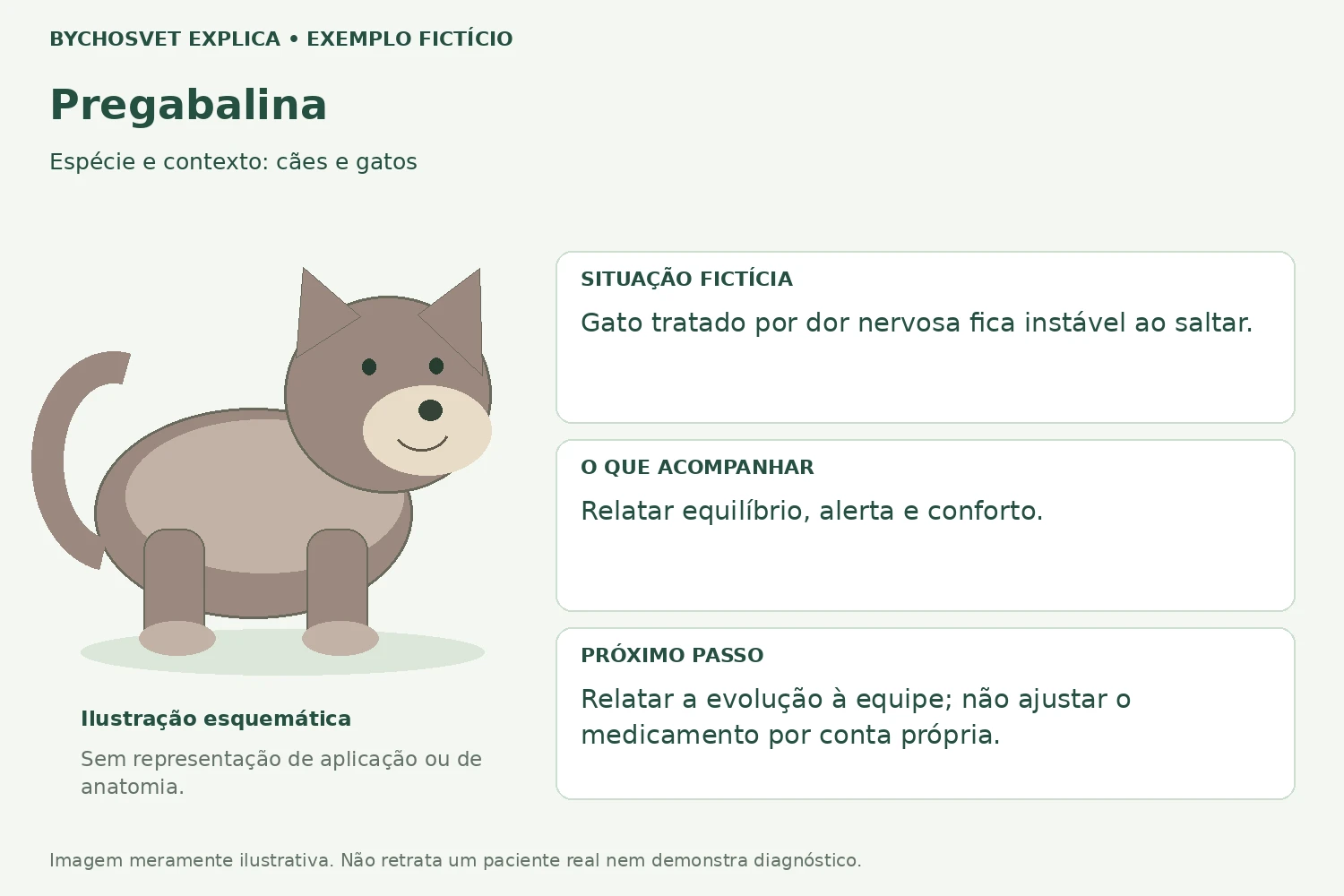 Exemplo fictício de acompanhamento com Pregabalina
