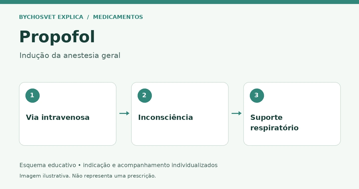 Propofol: Via intravenosa, Inconsciência, Suporte respiratório