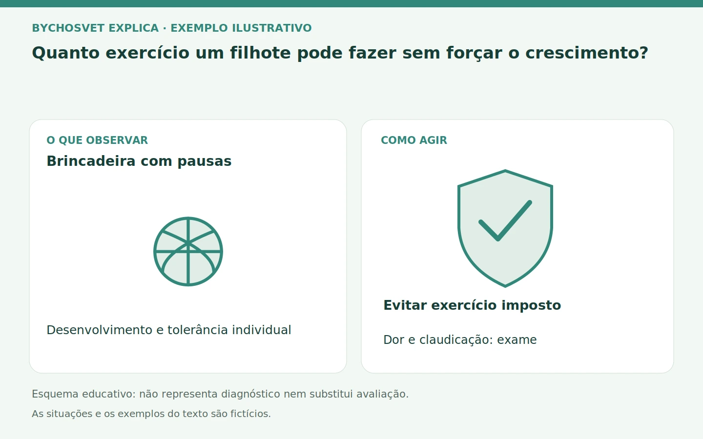 Brincadeira com pausas: Desenvolvimento e tolerância individual. Evitar exercício imposto; Dor e claudicação: exame