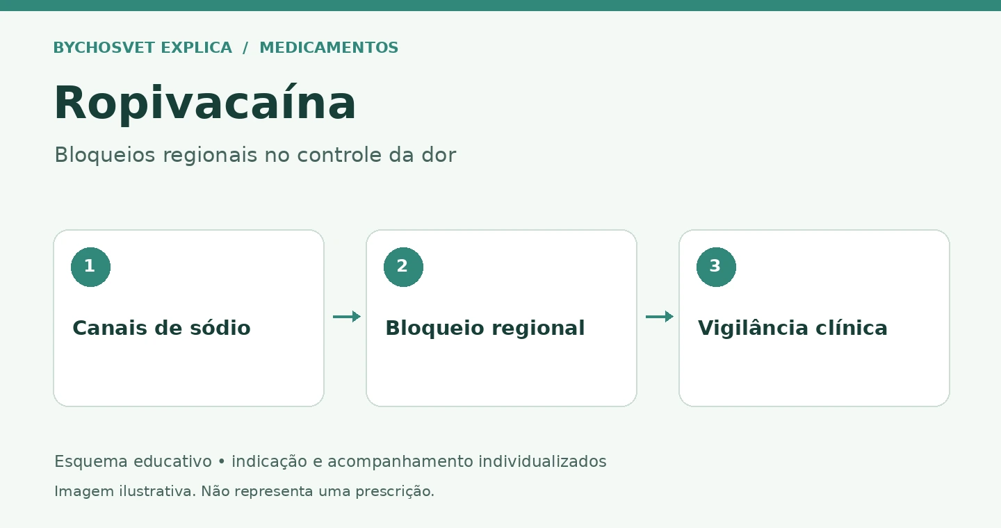 Ropivacaína: Canais de sódio, Bloqueio regional, Vigilância clínica