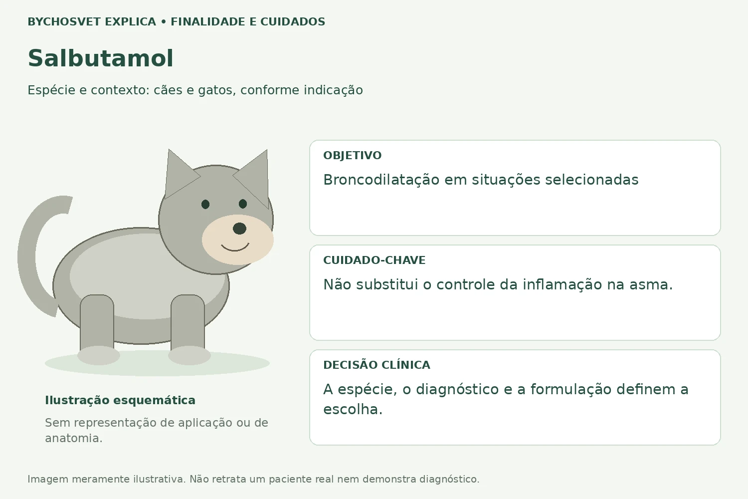 Finalidade e cuidados de Salbutamol