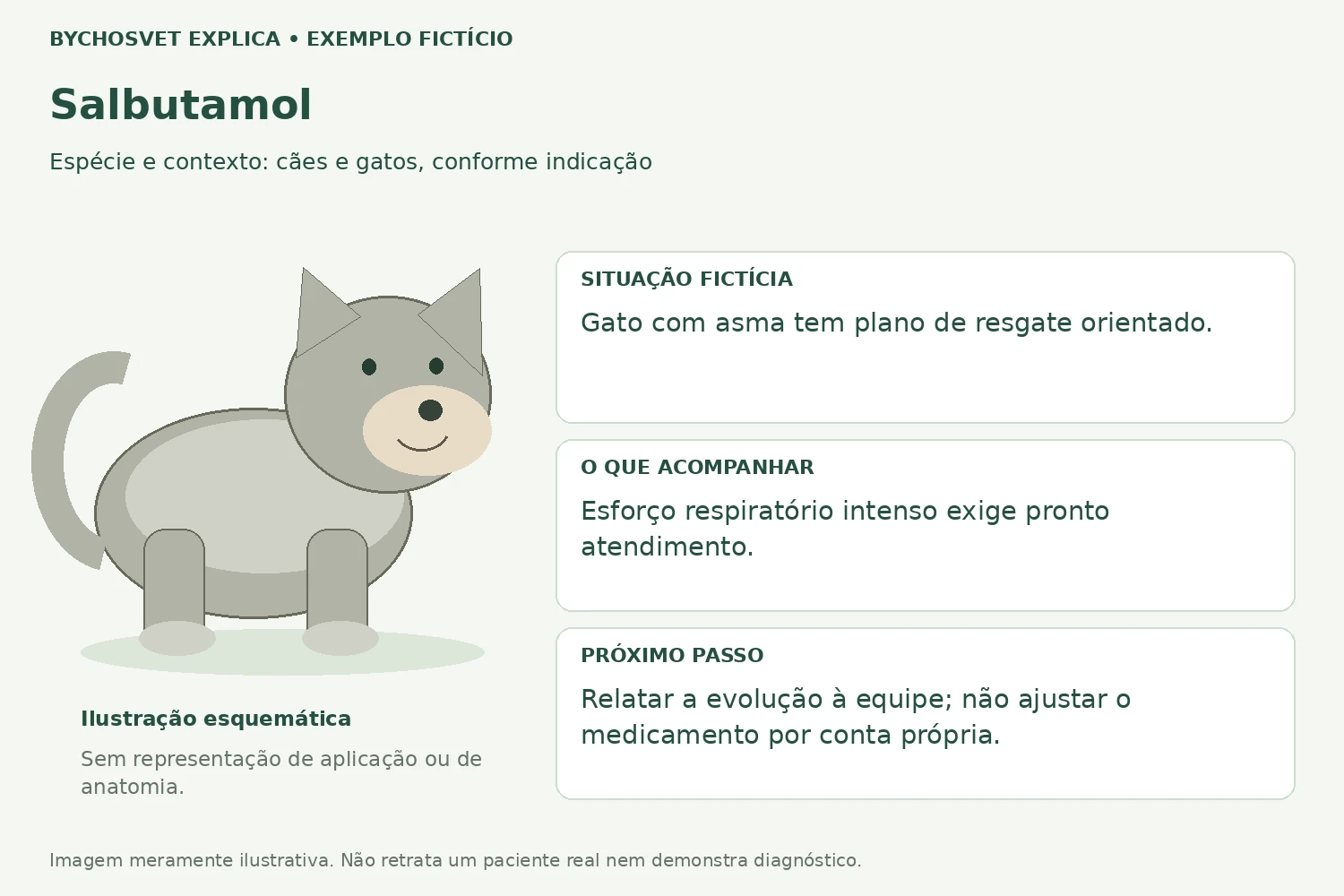 Exemplo fictício de acompanhamento com Salbutamol