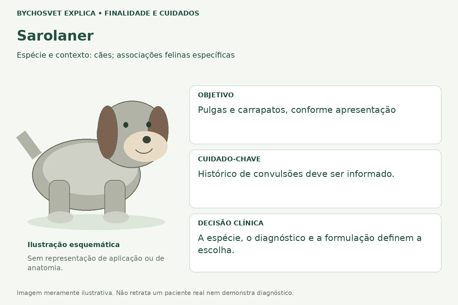 Finalidade e cuidados de Sarolaner