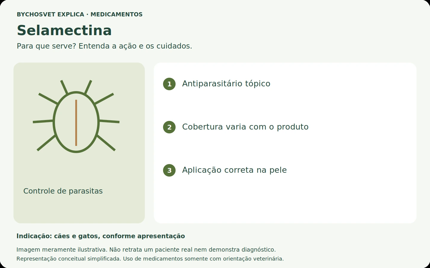 Selamectina: esquema em português sobre ação, indicações e cuidados.