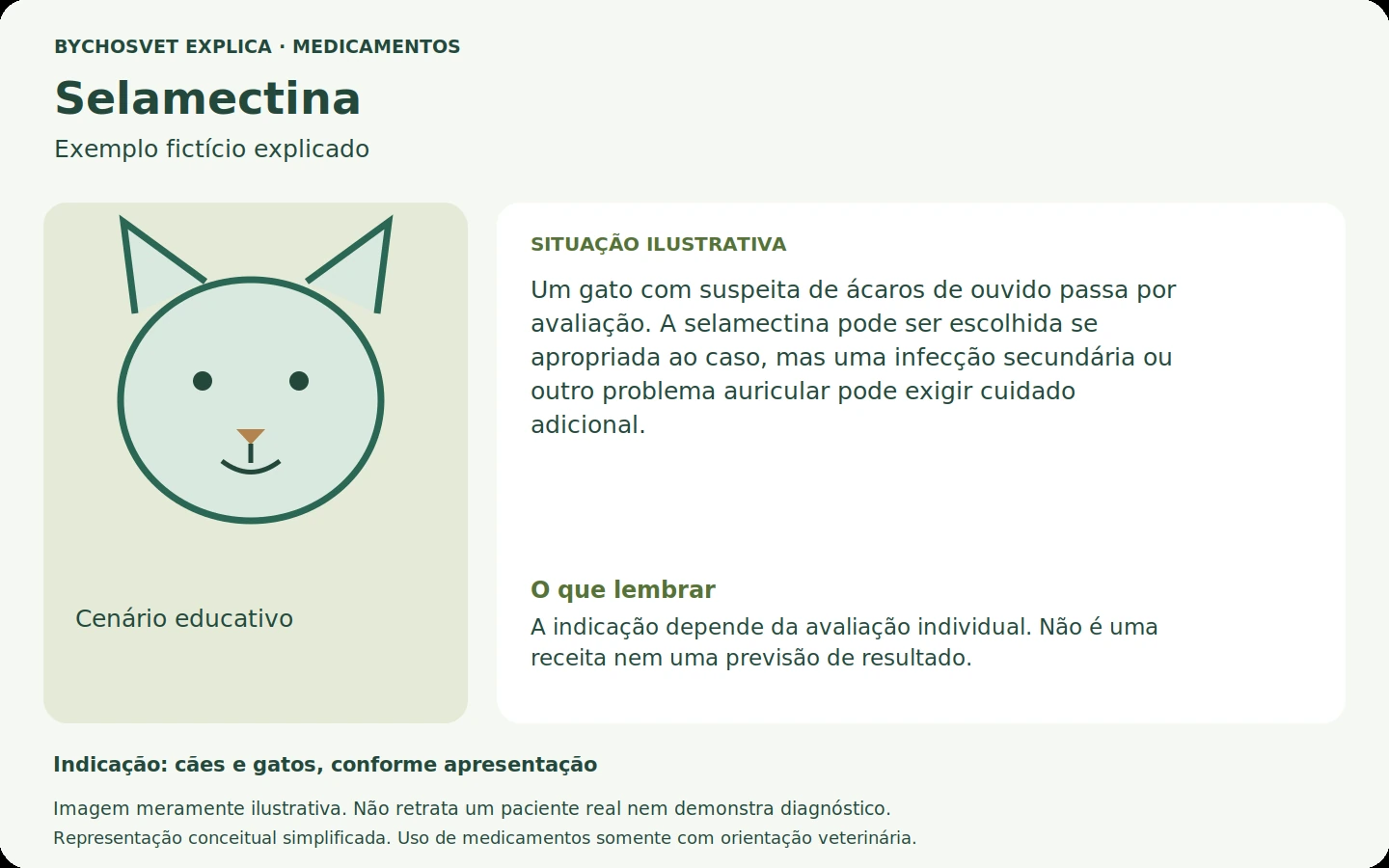 Exemplo fictício em português relacionado ao uso de selamectina.