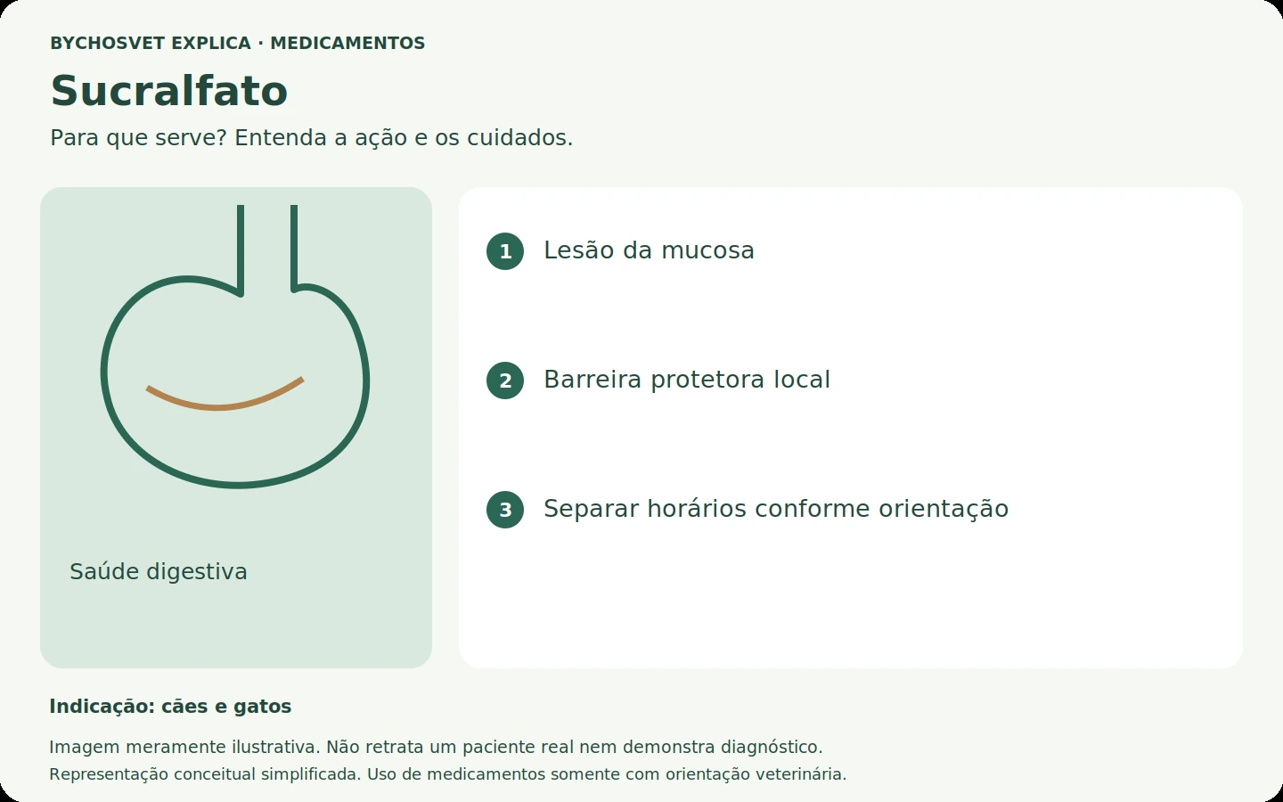 Sucralfato: esquema em português sobre ação, indicações e cuidados.