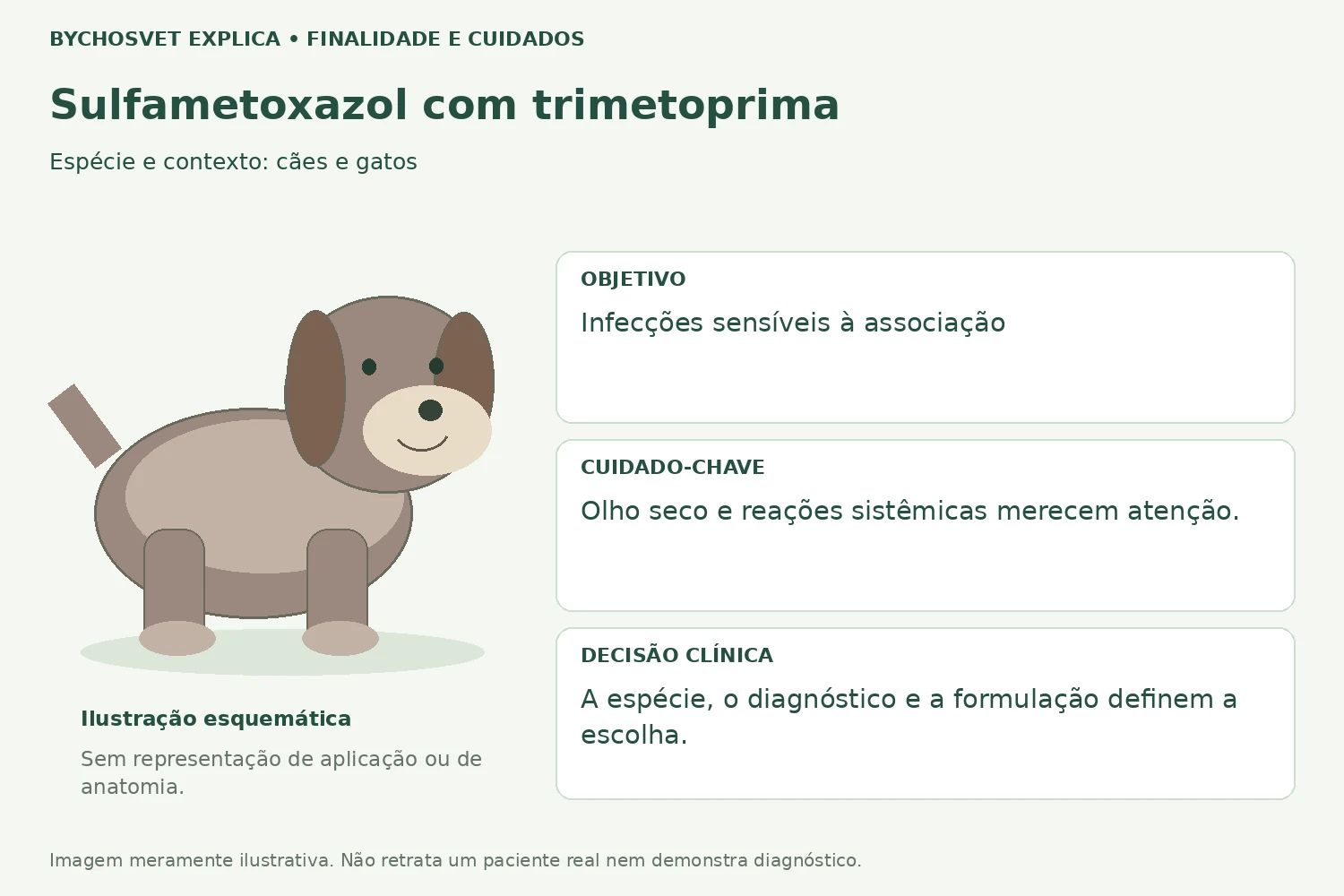 Finalidade e cuidados de Sulfametoxazol com trimetoprima