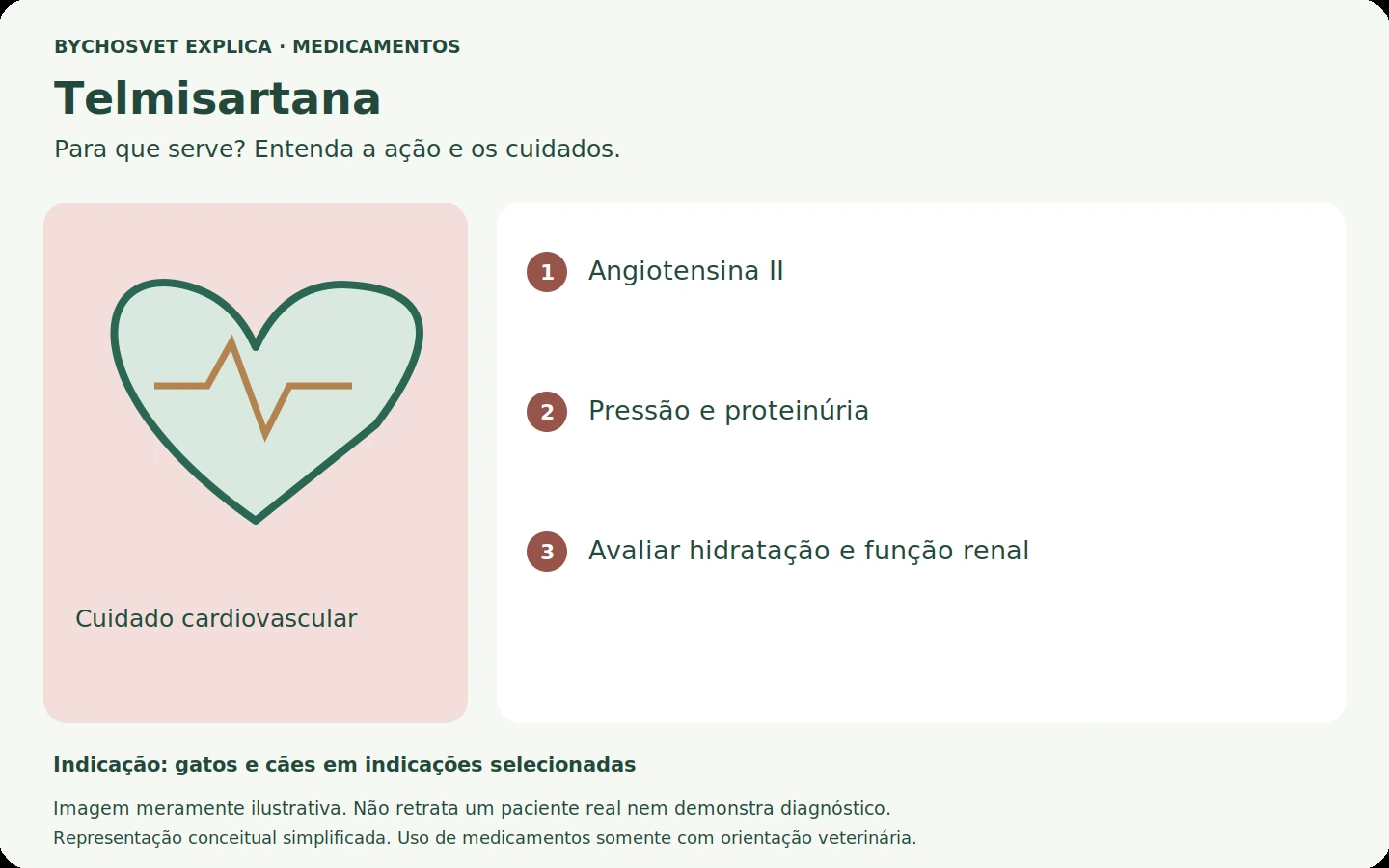 Telmisartana: esquema em português sobre ação, indicações e cuidados.