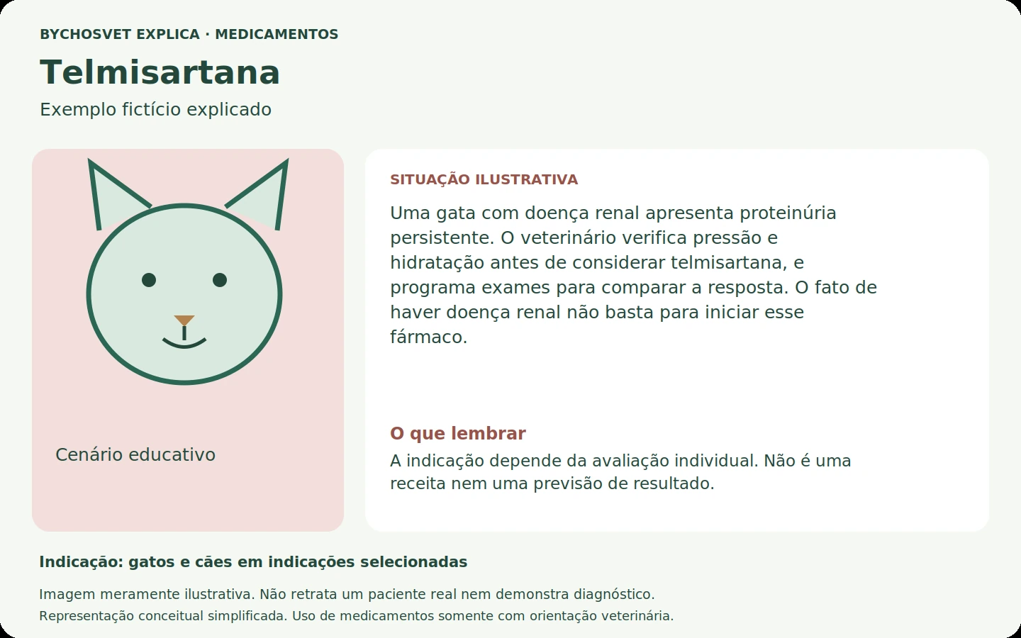 Exemplo fictício em português relacionado ao uso de telmisartana.