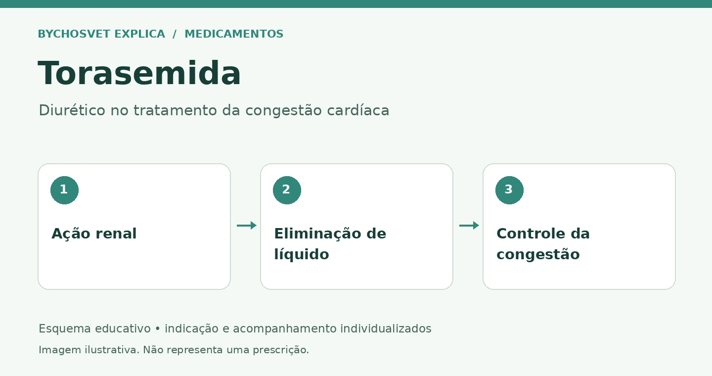 Torasemida: Ação renal, Eliminação de líquido, Controle da congestão