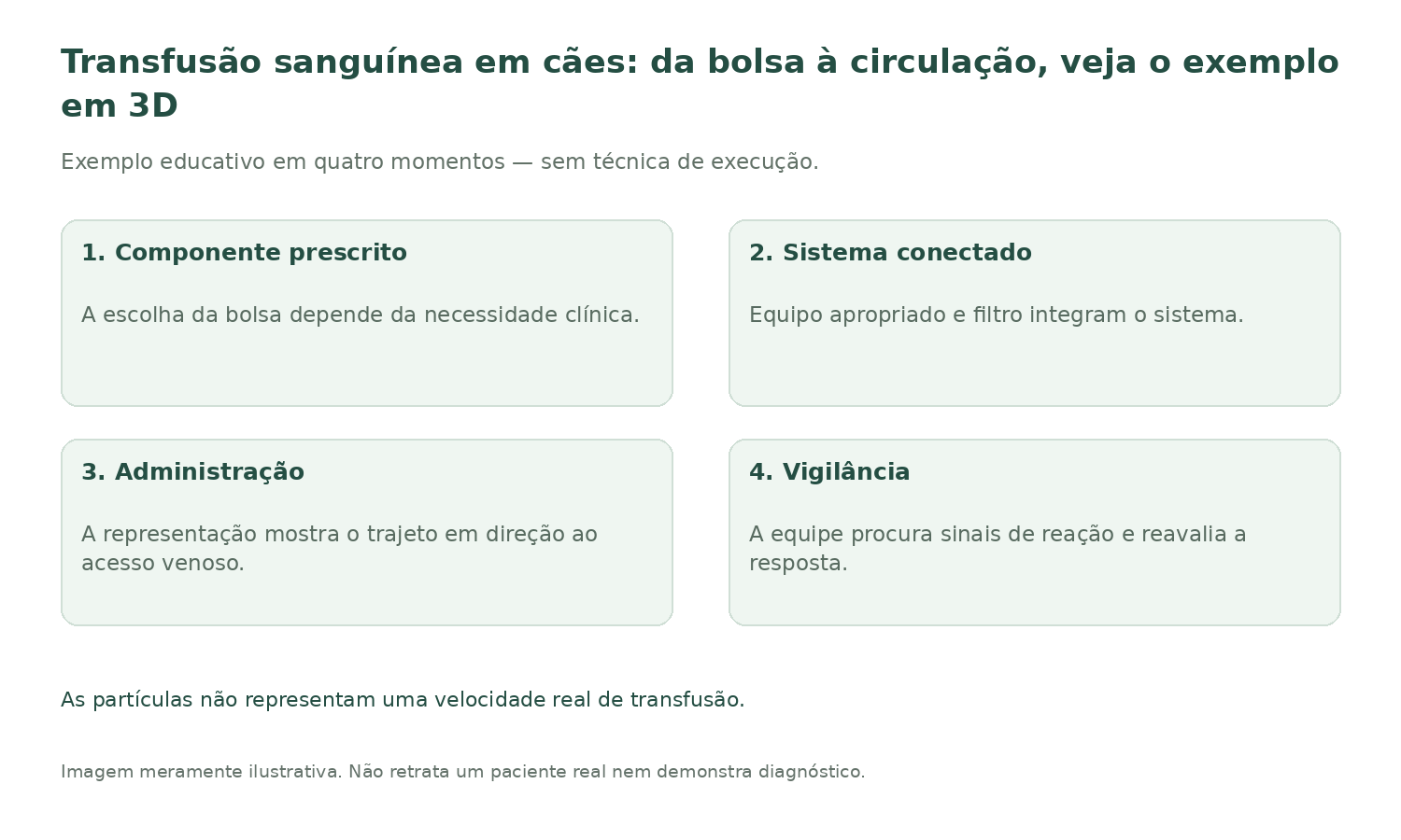 Resumo ilustrado: Transfusão sanguínea em cães: da bolsa à circulação, veja o exemplo em 3D