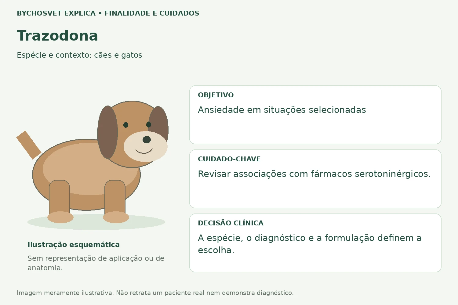 Finalidade e cuidados de Trazodona