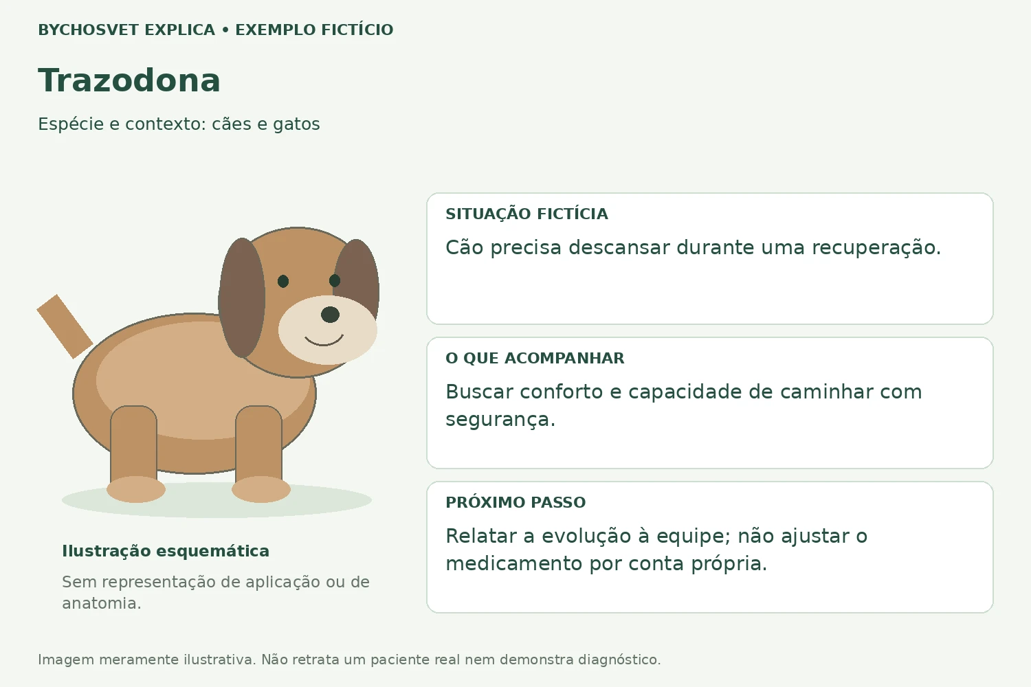 Exemplo fictício de acompanhamento com Trazodona